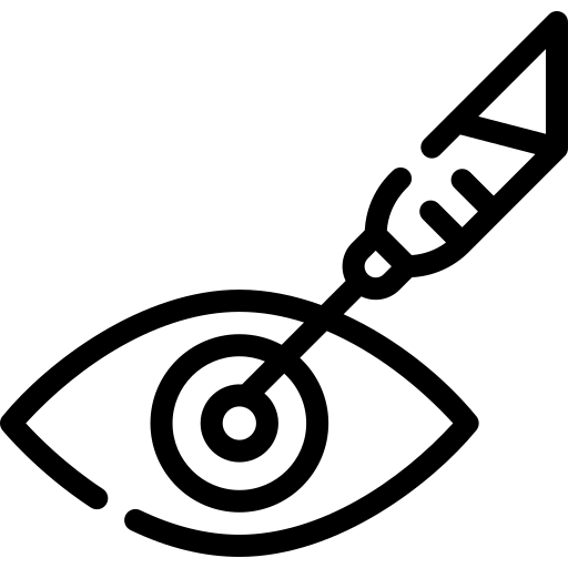 retina 1 icon